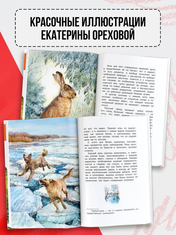 Дополнительное изображение книги «Рассказы о природе»