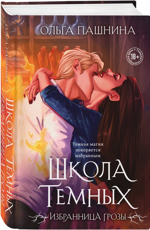 Дополнительное изображение книги «Школа темных. Избранница грозы (клатчбук)»