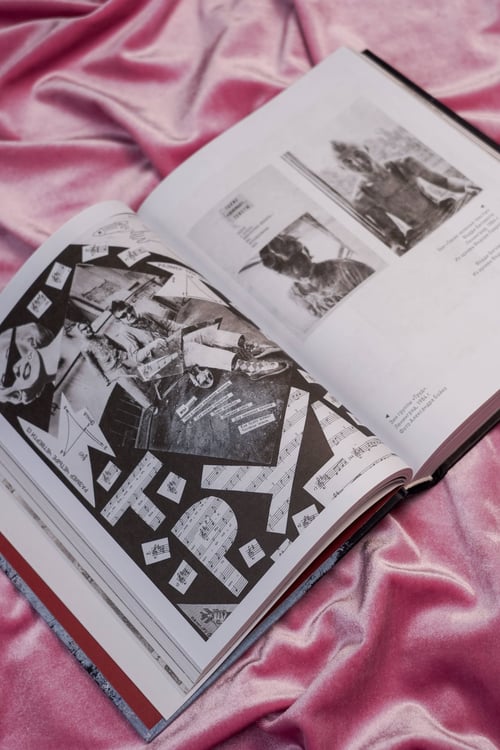 Дополнительное изображение книги «Карнавал Безумия. Хроники саморазрушения в стиле панк»