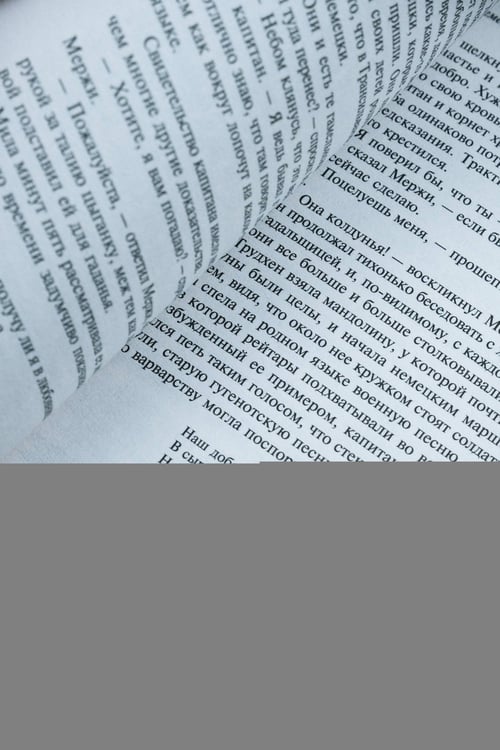 Дополнительное изображение книги «Хроника времен Карла IX»