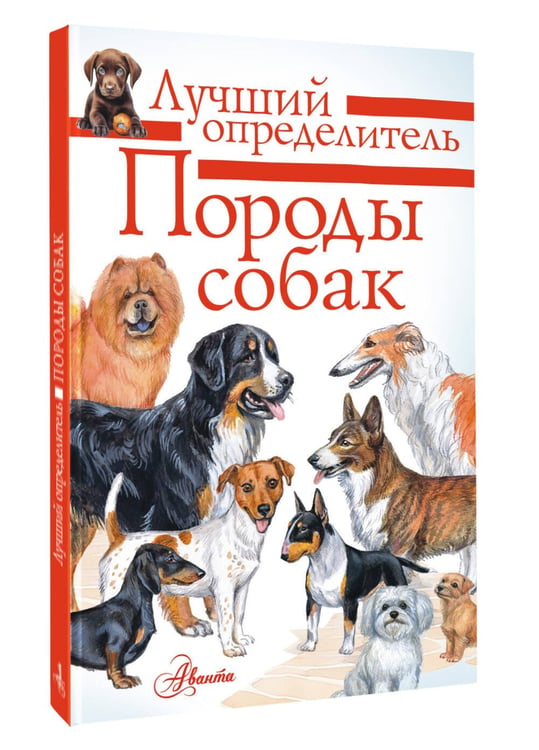 Дополнительное изображение книги «Породы собак. Определитель»