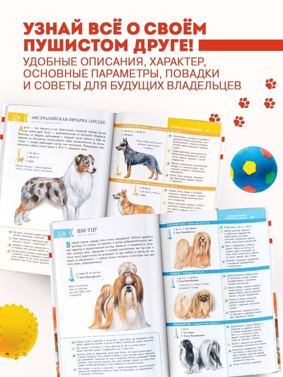 Дополнительное изображение книги «Породы собак. Определитель»