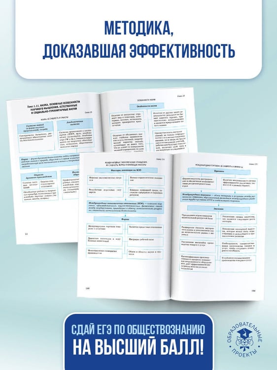 Дополнительное изображение книги «ЕГЭ. Обществознание в инфографике»