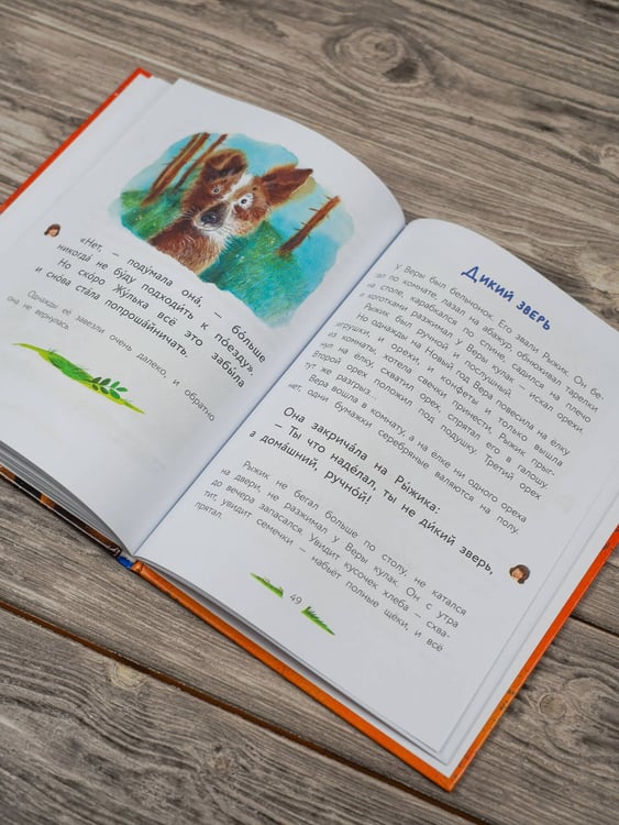 Дополнительное изображение книги «Верблюжья варежка»