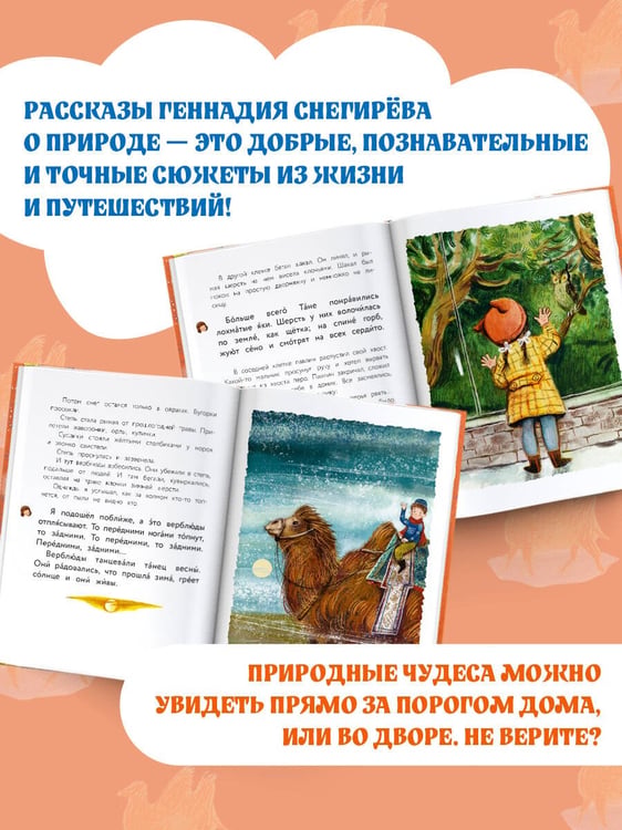 Дополнительное изображение книги «Верблюжья варежка»