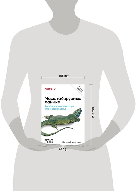 Дополнительное изображение книги «Масштабируемые данные. Высоконагруженные архитектуры, Data Mesh и Data Fabric. 2-е изд.»