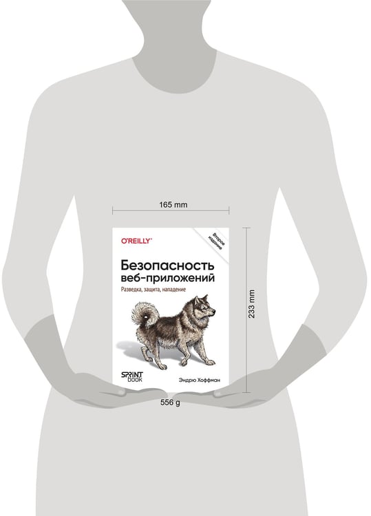 Дополнительное изображение книги «Безопасность веб-приложений. Разведка, защита, нападение. 2-е изд.»