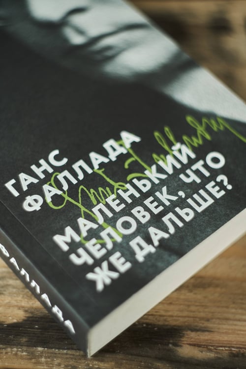 Дополнительное изображение книги «Маленький человек, что же дальше?»
