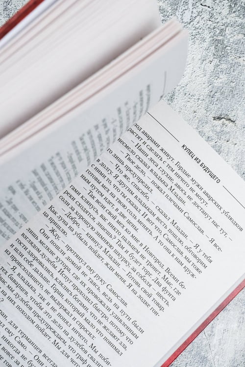 Дополнительное изображение книги «Купец из будущего»