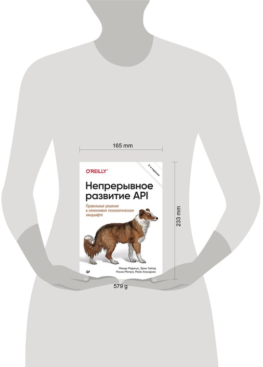 Дополнительное изображение книги «Непрерывное развитие API. Правильные решения в изменчивом технологическом ландшафте, 2-е изд.»
