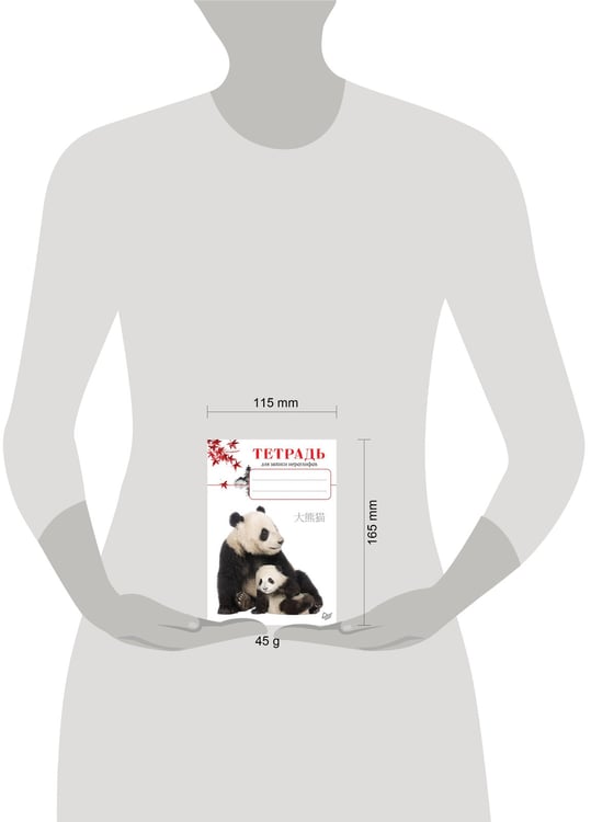 Дополнительное изображение книги «Тетрадь для записи иероглифов_Панды»