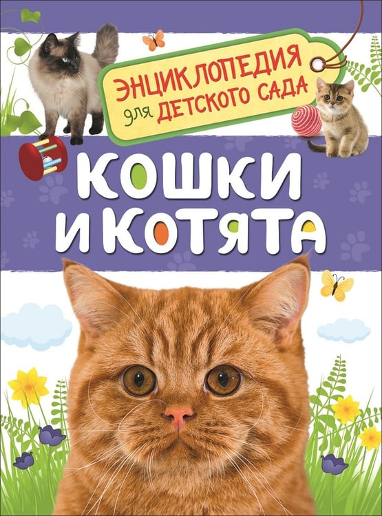 Обложка книги «Кошки и котята (Энциклопедия для детского сада)», ISBN 9785353087762