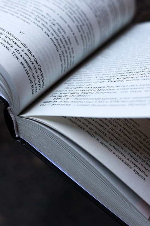 Дополнительное изображение книги «Институт»