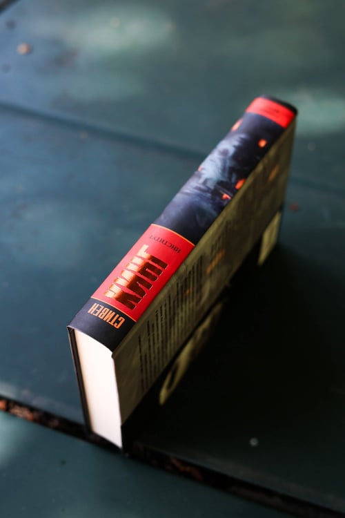 Дополнительное изображение книги «Институт»