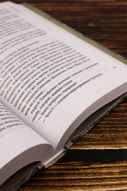 Дополнительное изображение книги «Юдоль»
