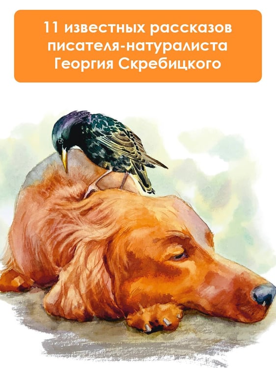 Дополнительное изображение книги «Зеленый шум. Рассказы»