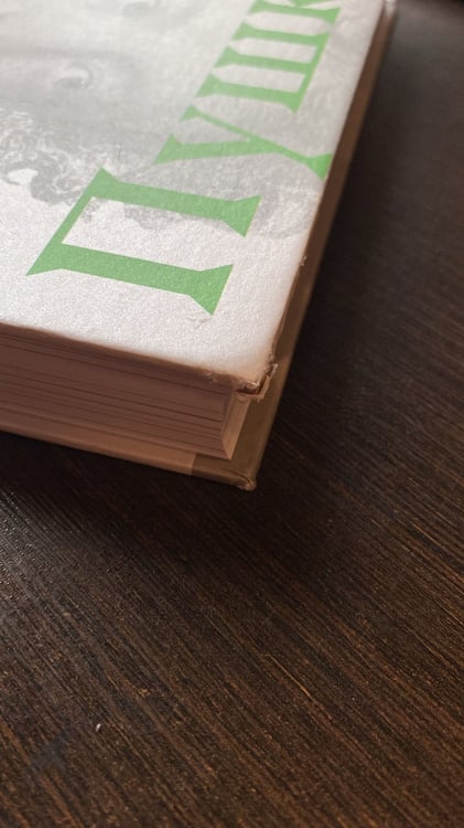 Дополнительное изображение книги «Александр Сергеевич Пушкин. Биография писателя»