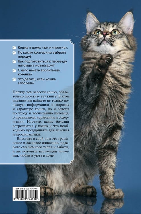 Дополнительное изображение книги «Все о кошках»