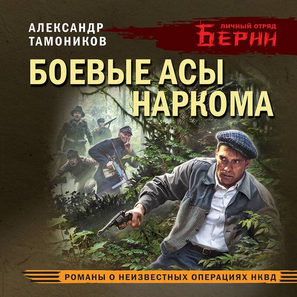 Дополнительное изображение книги «Боевые асы наркома»