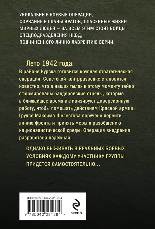 Дополнительное изображение книги «Боевые асы наркома»
