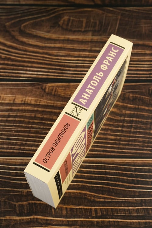 Дополнительное изображение книги «Остров пингвинов»