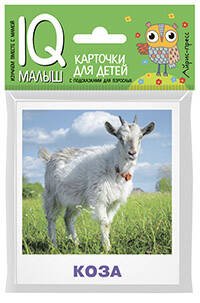 Обложка книги «Умный малыш. Домашние животные», ISBN 9785811265039