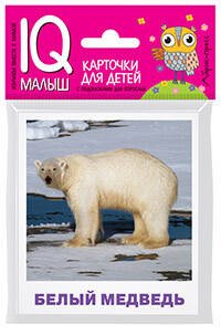 Обложка книги «Умный малыш. Животные полярных широт. Набор карточек для детей.», ISBN 9785811267422
