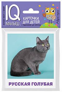 Обложка книги «Умный малыш. Породы кошек Набор карточек для детей.», ISBN 9785811268047