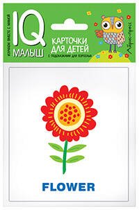 Обложка книги «Умный малыш. ENGLISH. Растения», ISBN 9785811257218