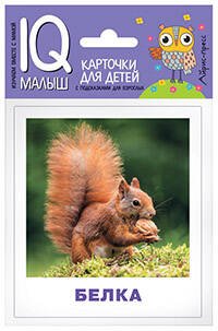 Обложка книги «Умный малыш .  Кто живёт в лесу? Набор карточек для детей.», ISBN 9785811264308