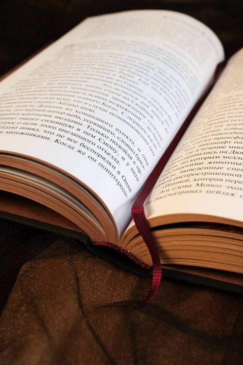 Дополнительное изображение книги «Бог-Император Дюны»