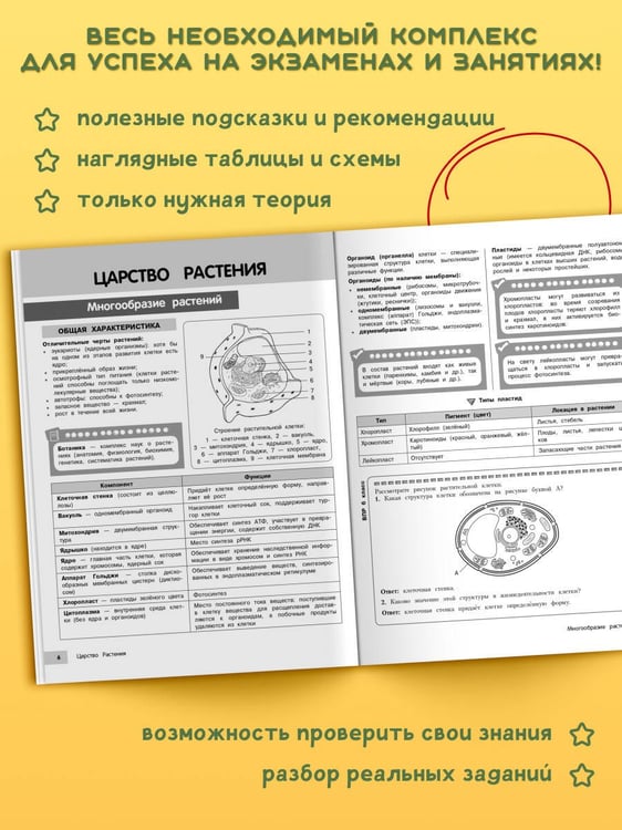 Дополнительное изображение книги «Биология»