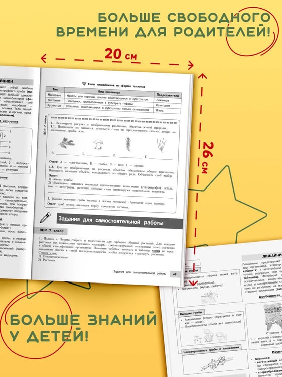Дополнительное изображение книги «Биология»