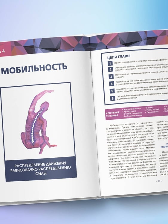 Дополнительное изображение книги «Принципы движения»