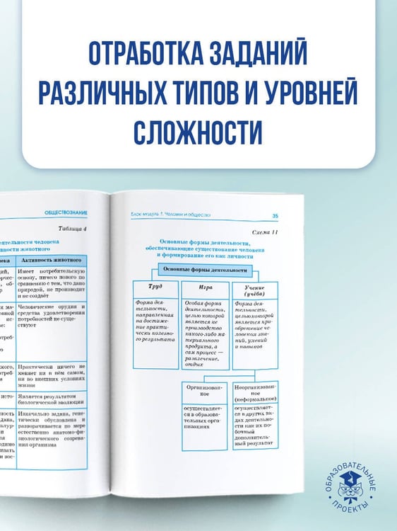 Дополнительное изображение книги «ОГЭ. Обществознание в инфографике»