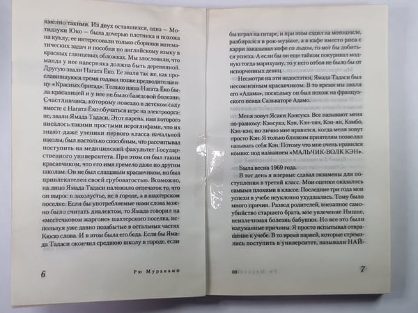 Дополнительное изображение книги «69. Роман»