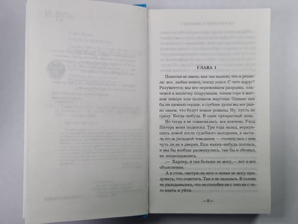 Дополнительное изображение книги «Теория блондинок»