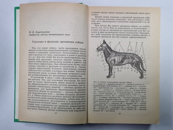 Дополнительное изображение книги «Всё о вашей собаке»