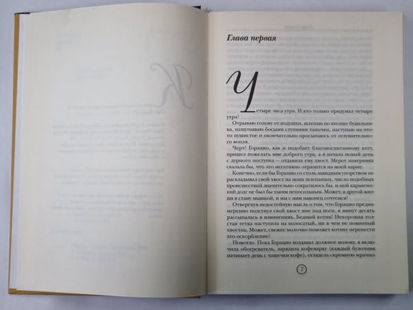 Дополнительное изображение книги «Радости земные»