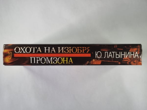 Дополнительное изображение книги «Промзона»