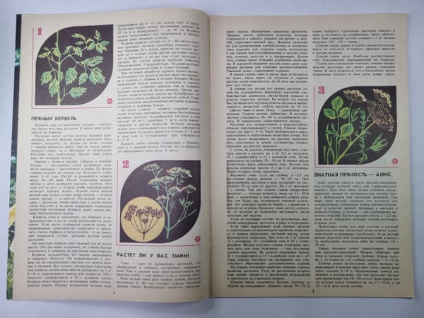 Дополнительное изображение книги «Травы-приправы. Сер. Приусадебное хозяйство»