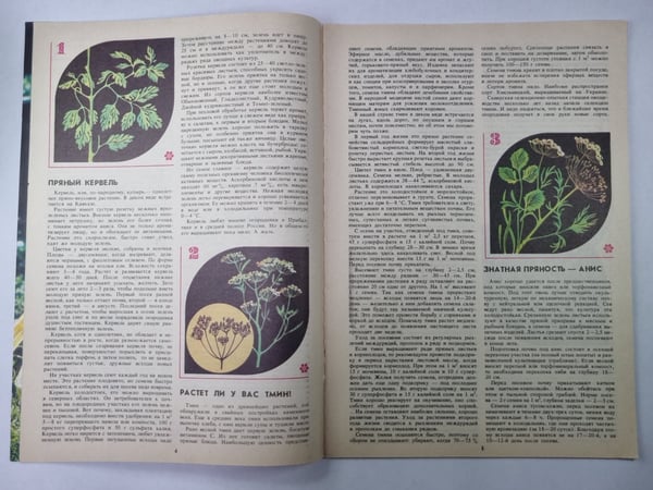 Дополнительное изображение книги «Травы-приправы. Сер. Приусадебное хозяйство»