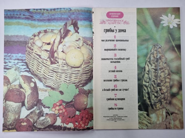 Дополнительное изображение книги «Грибы у дома. Сер. Приусадебное хозяйство»