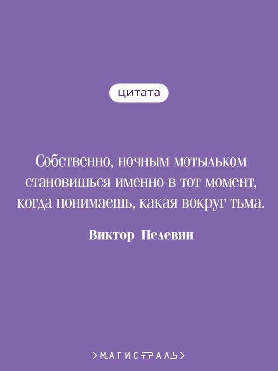 Дополнительное изображение книги «Жизнь насекомых»