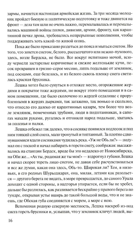Дополнительное изображение книги «Прокляты и убиты: роман»