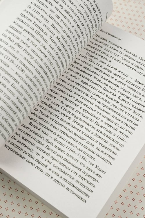 Дополнительное изображение книги «Попаданка плюс-сайз»