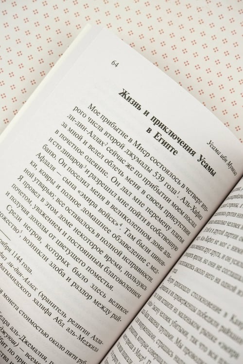 Дополнительное изображение книги «Попаданка плюс-сайз»