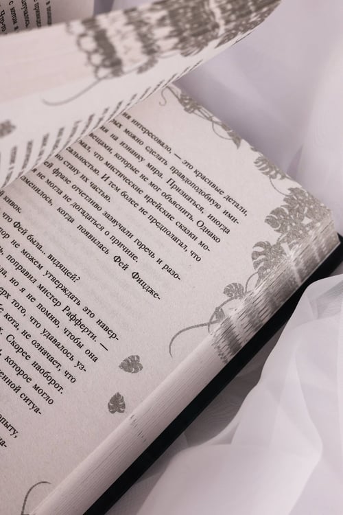 Дополнительное изображение книги «Игра тени и света»