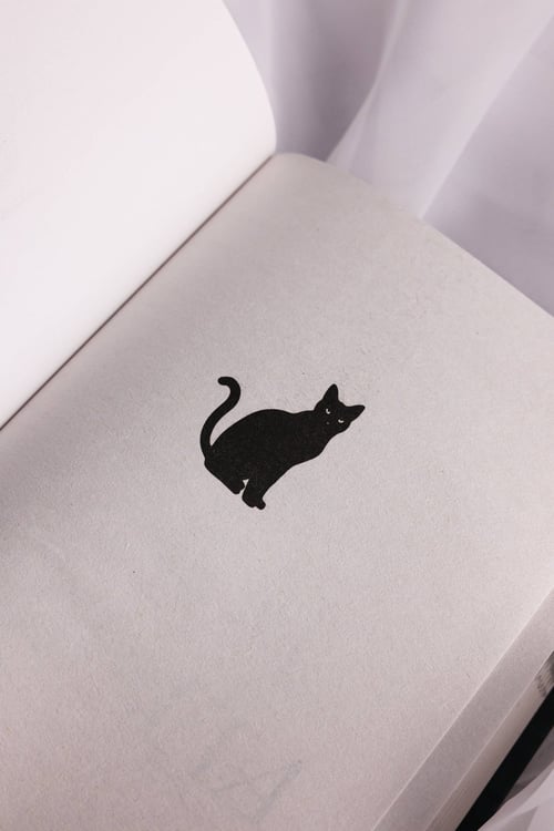 Дополнительное изображение книги «Игра тени и света»