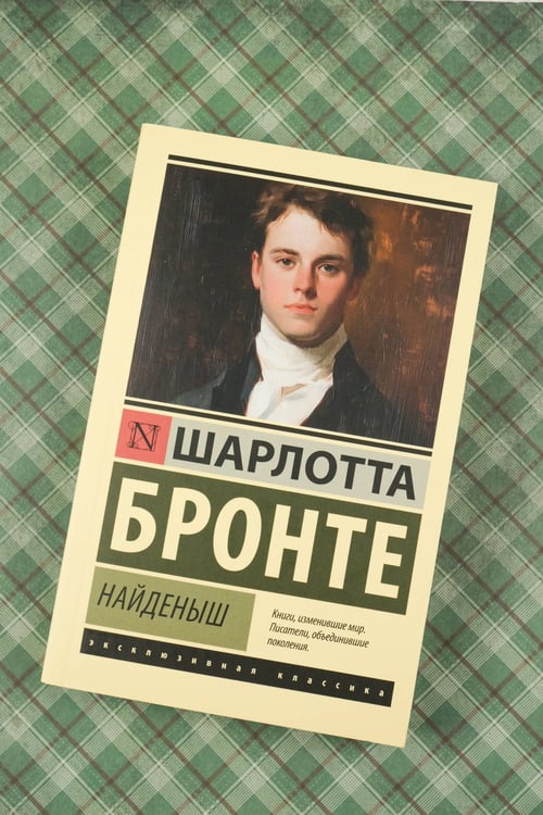 Дополнительное изображение книги «Найденыш»